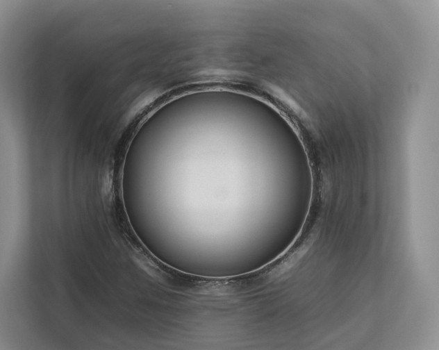 X0000112931259200908241253