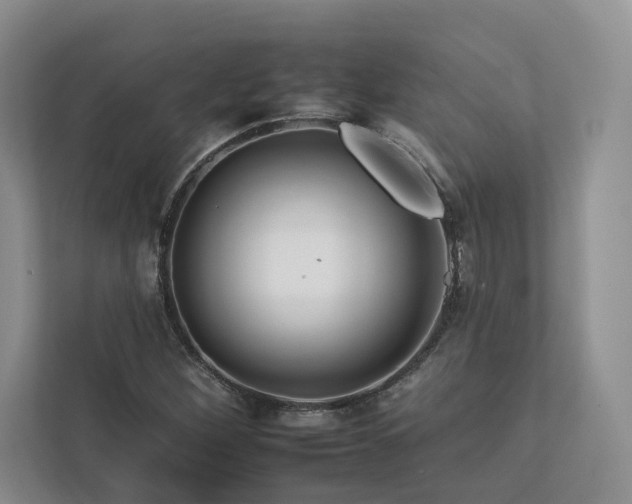 X0000112931260200908241253