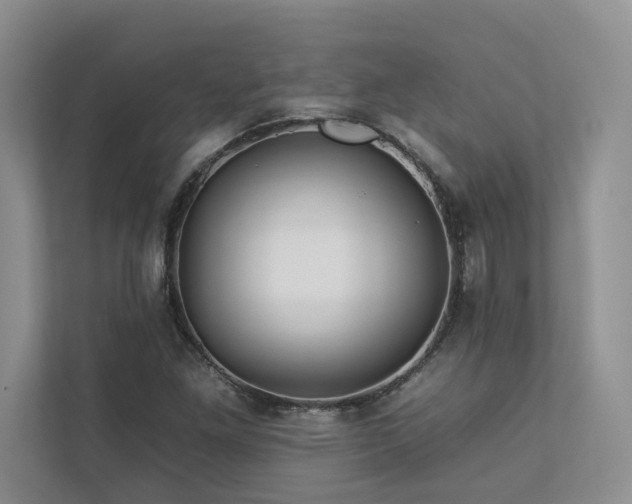 X0000112931261200908241253