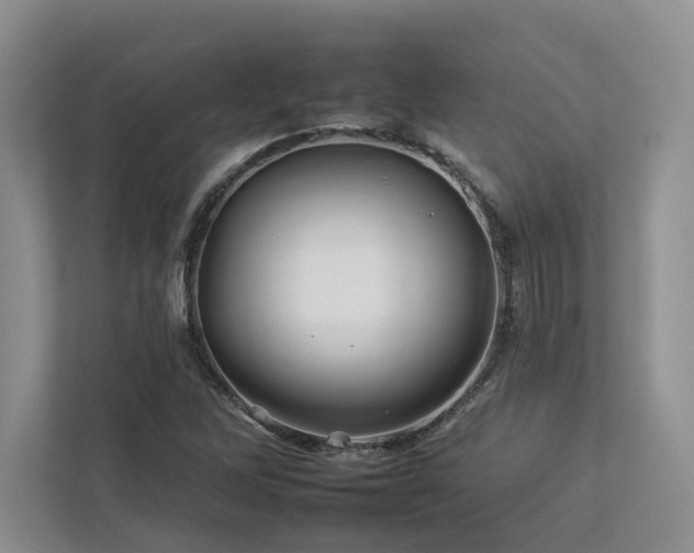 X0000112931262200908241253