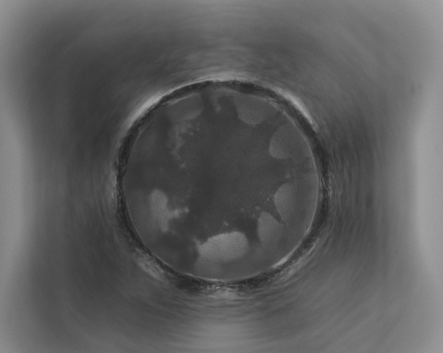 X0000112931263200908241253