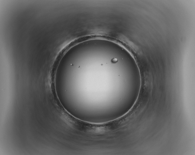 X0000112931264200908241253