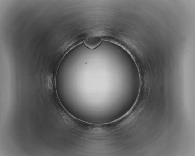 X0000112931265200908241253