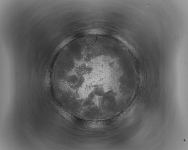 X0000112931266200908241253