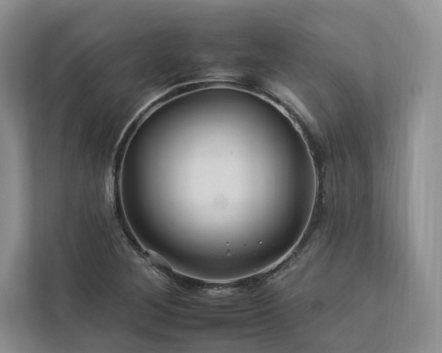 X0000112931268200908241253