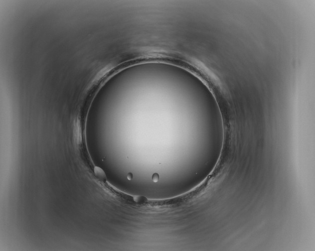 X0000112931269200908241253