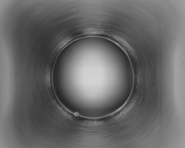 X0000112931273200908241253