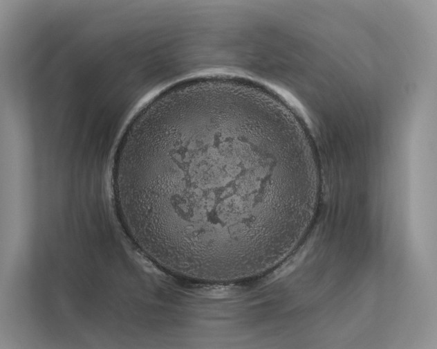 X0000112931279200908241253