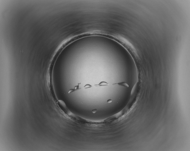 X0000112931280200908241253