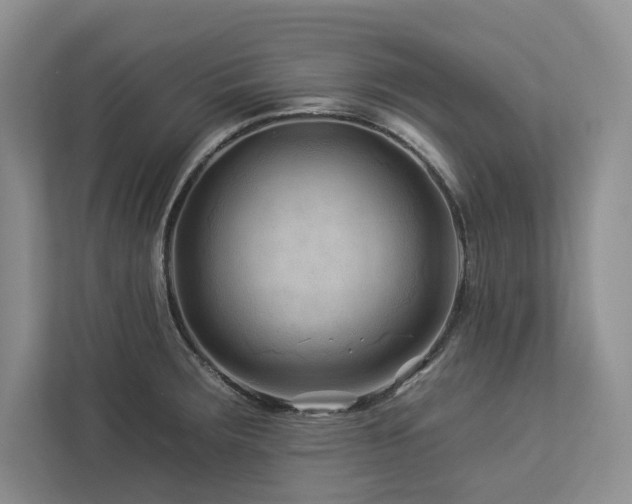 X0000112931283200908241253