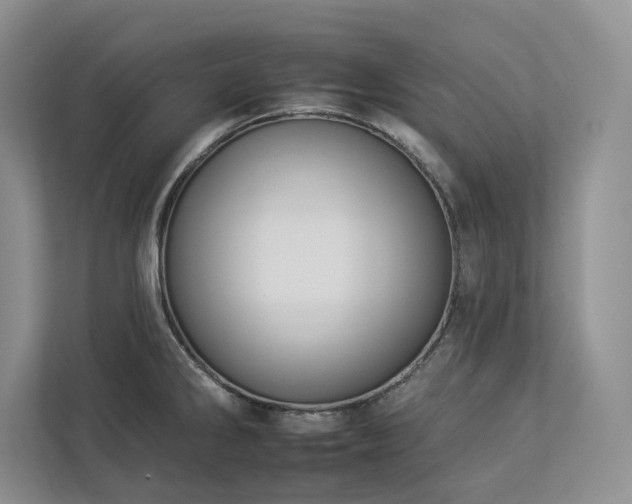 X0000112931286200908241253