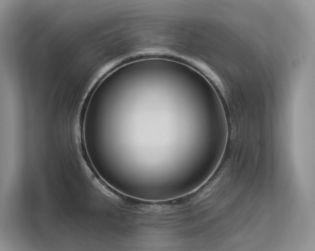 X0000112931287200908241253