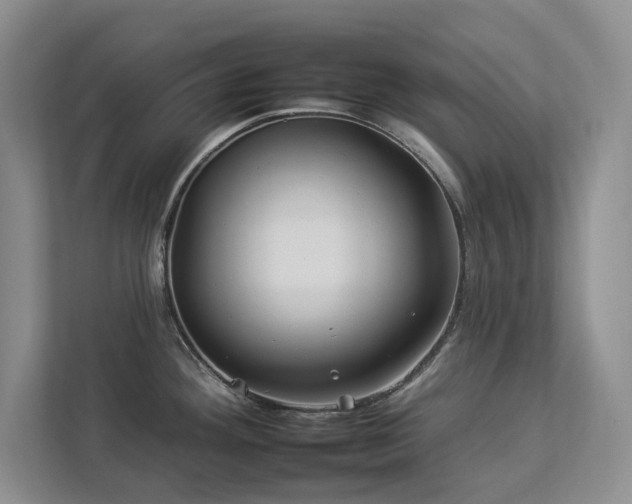 X0000112931292200908241253