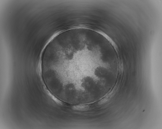 X0000112931294200908241253