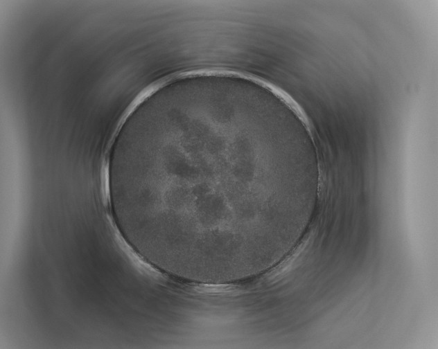 X0000112931295200908241253