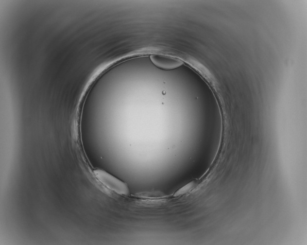 X0000112931296200908241253