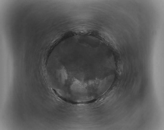 X0000112931297200908241252