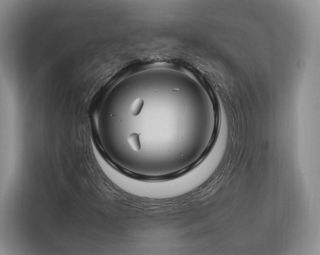 X0000112931300200908241252
