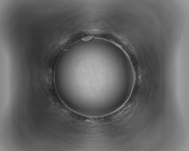 X0000112931301200908241252