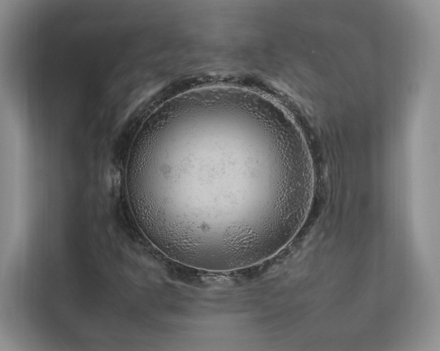 X0000112931302200908241252
