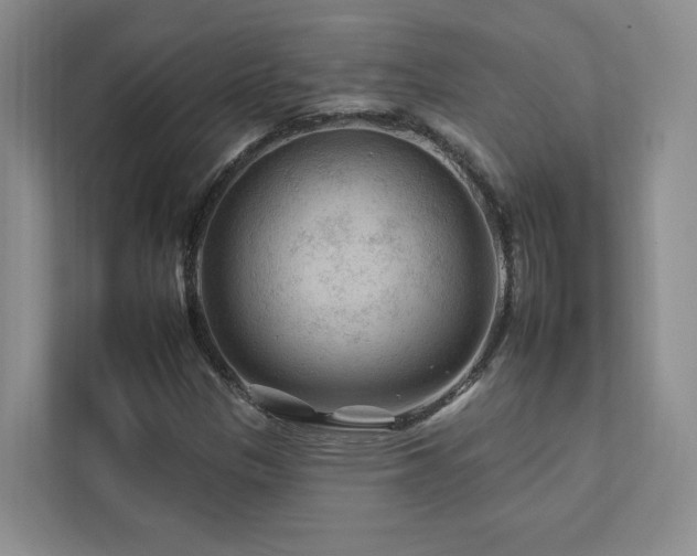 X0000112931305200908241252