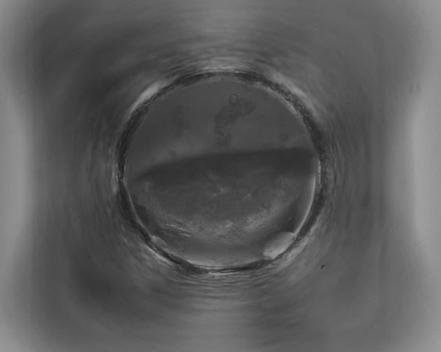 X0000112931306200908241252