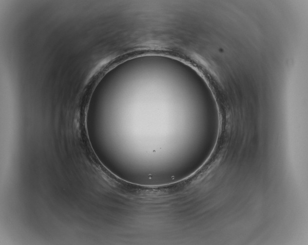 X0000112931307200908241252