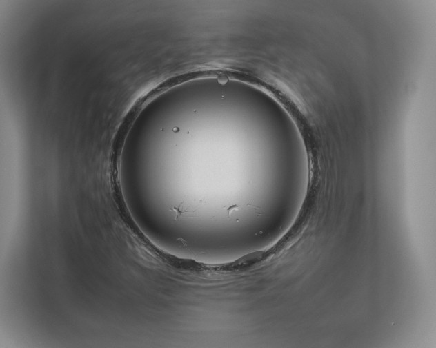 X0000112931308200908241252