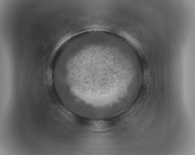X0000112931310200908241252