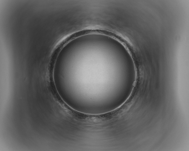 X0000112931311200908241252