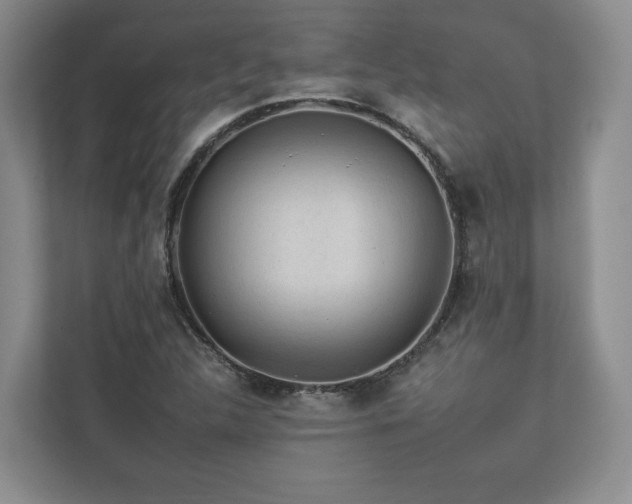 X0000112931312200908241252