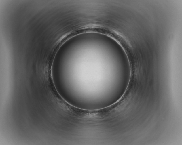 X0000112931313200908241252