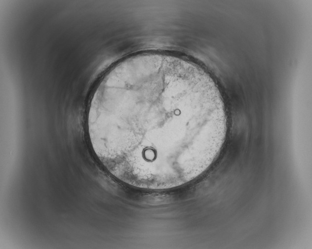 X0000112931314200908241252