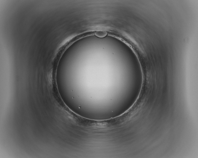 X0000112931315200908241252