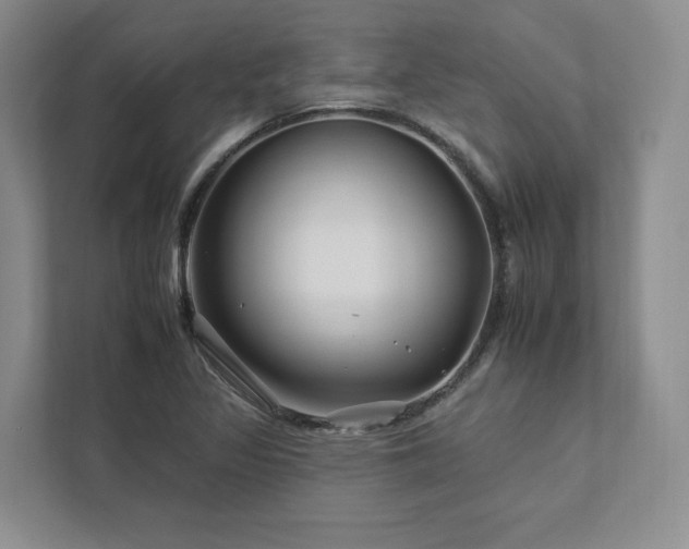 X0000112931317200908241252