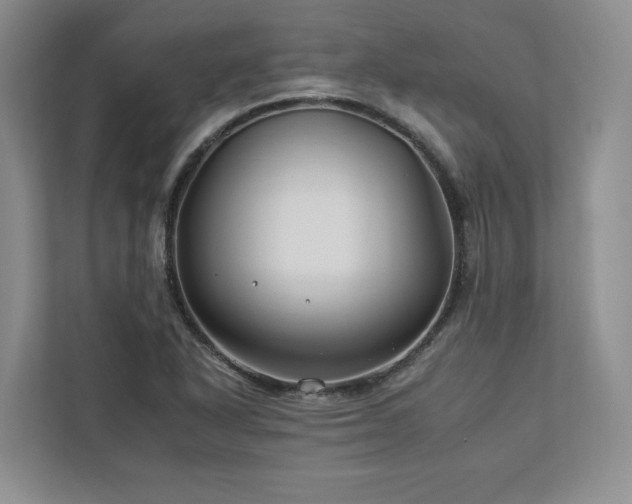 X0000112931318200908241252