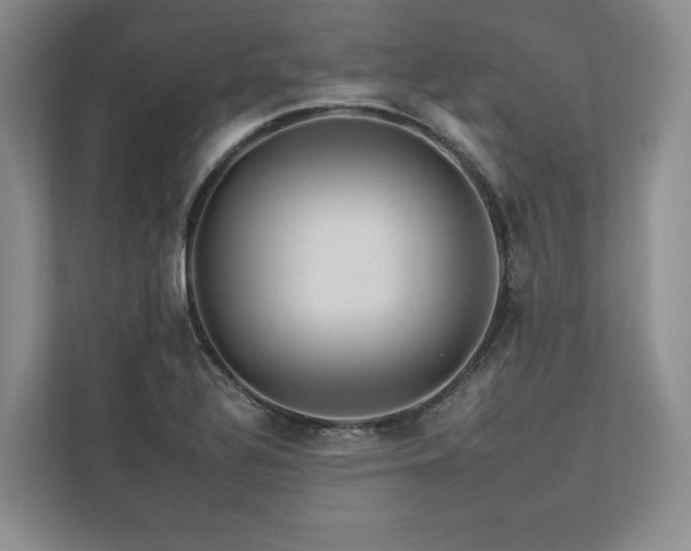 X0000112931320200908241252