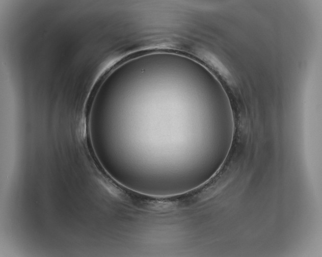 X0000112931324200908241252