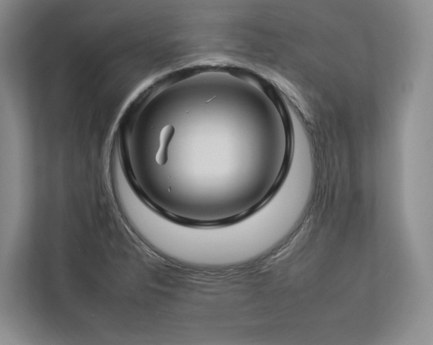 X0000112931326200908241252
