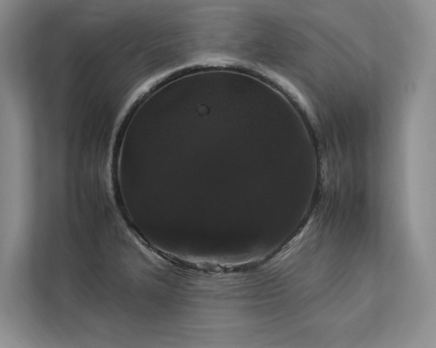 X0000112931327200908241252