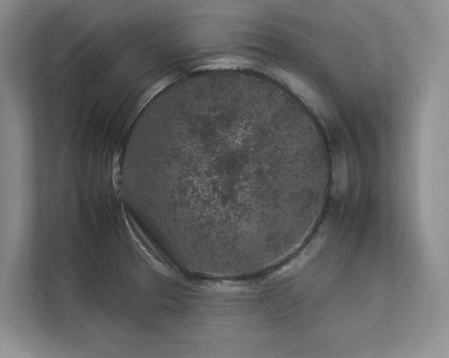X0000112931329200908241252