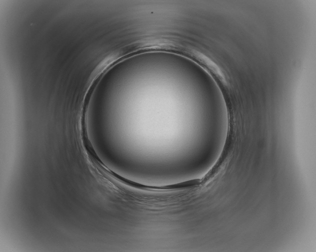 X0000112931330200908241252