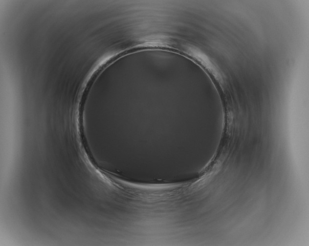 X0000112931331200908241252