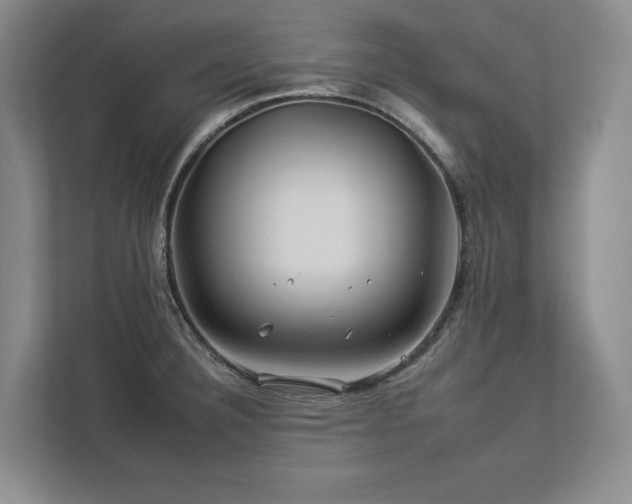 X0000112931332200908241252