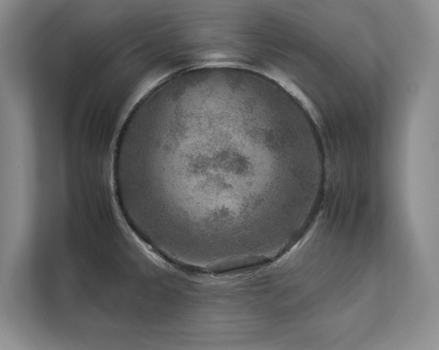 X0000112931333200908241252