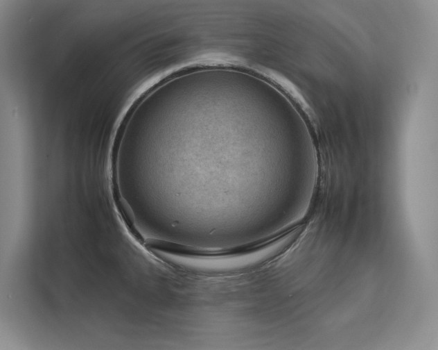 X0000112931335200908241252
