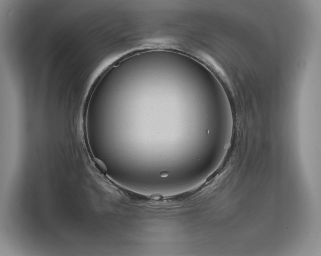 X0000112931336200908241253