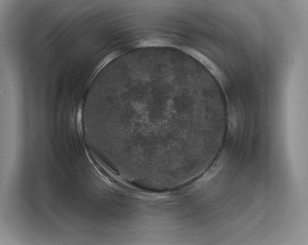 X0000112931337200908241253