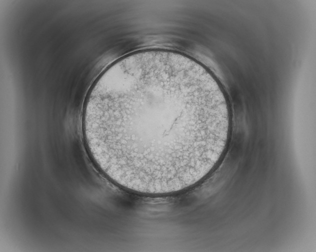 X0000112931338200908241253