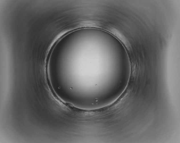 X0000112931339200908241253